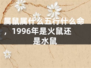 属鼠属什么五行什么命,1996年是火鼠还是水鼠