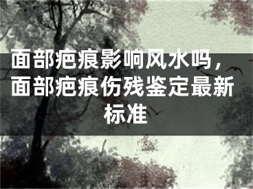 面部疤痕影响风水吗,面部疤痕伤残鉴定最新标准
