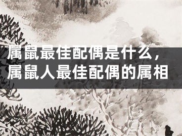 属鼠最佳配偶是什么，属鼠人最佳配偶的属相