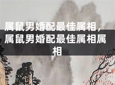 属鼠男婚配最佳属相，属鼠男婚配最佳属相属相