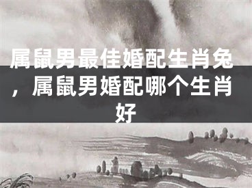 属鼠男最佳婚配生肖兔，属鼠男婚配哪个生肖好