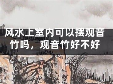 风水上室内可以摆观音竹吗，观音竹好不好