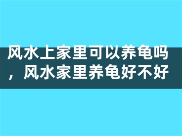 风水上家里可以养龟吗，风水家里养龟好不好