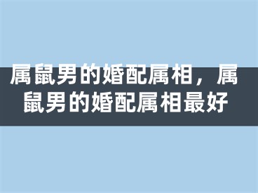 属鼠男的婚配属相，属鼠男的婚配属相最好