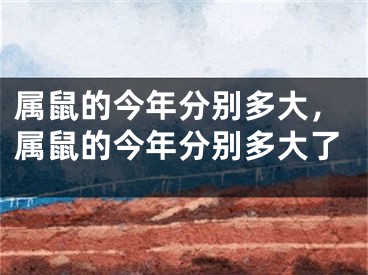 属鼠的今年分别多大,属鼠的今年分别多大了