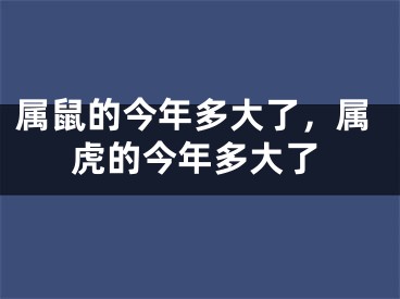 属鼠的今年多大了,属虎的今年多大了
