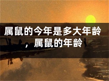 属鼠的今年是多大年龄，属鼠的年龄