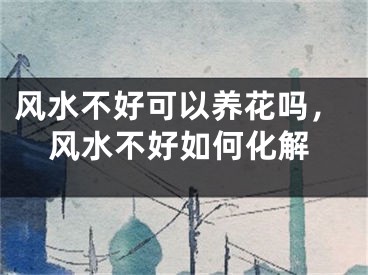 风水不好可以养花吗，风水不好如何化解