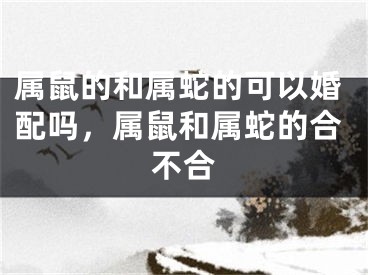属鼠的和属蛇的可以婚配吗，属鼠和属蛇的合不合