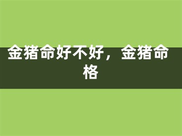 金猪命好不好，金猪命格