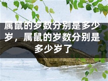 属鼠的岁数分别是多少岁，属鼠的岁数分别是多少岁了
