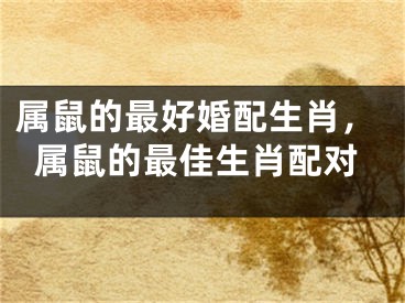属鼠的最好婚配生肖，属鼠的最佳生肖配对