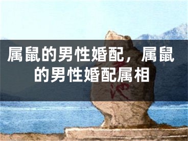 属鼠的男性婚配，属鼠的男性婚配属相
