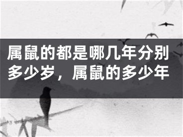 属鼠的都是哪几年分别多少岁，属鼠的多少年