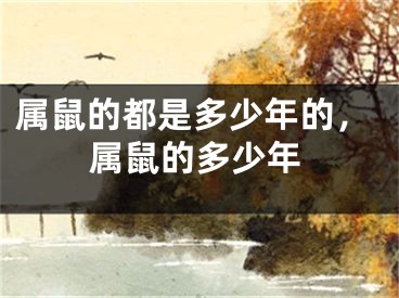 属鼠的都是多少年的，属鼠的多少年