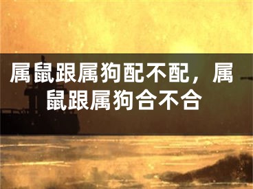 属鼠跟属狗配不配，属鼠跟属狗合不合