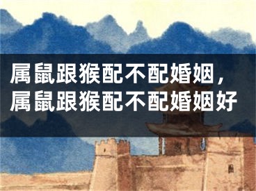 属鼠跟猴配不配婚姻,属鼠跟猴配不配婚姻好