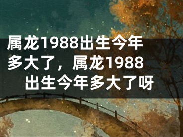属龙1988出生今年多大了，属龙1988出生今年多大了呀