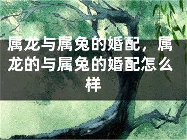 属龙与属兔的婚配，属龙的与属兔的婚配怎么样