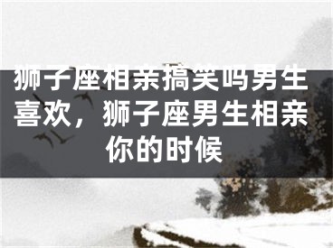 狮子座相亲搞笑吗男生喜欢，狮子座男生相亲你的时候