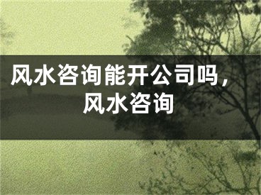 风水咨询能开公司吗，风水咨询