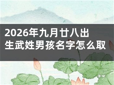 2026年九月廿八出生武姓男孩名字怎么取