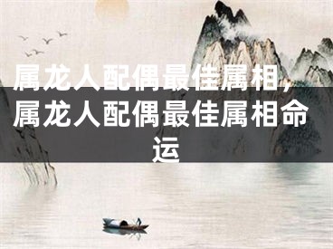 属龙人配偶最佳属相，属龙人配偶最佳属相命运