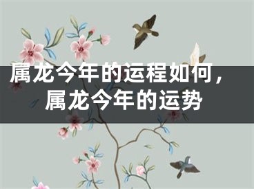 属龙今年的运程如何，属龙今年的运势