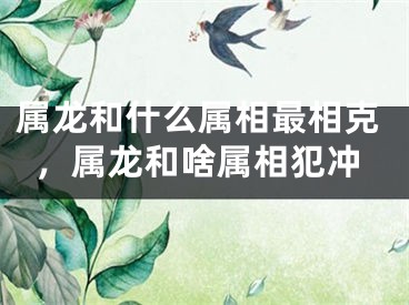 属龙和什么属相最相克，属龙和啥属相犯冲
