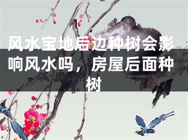 风水宝地后边种树会影响风水吗，房屋后面种树