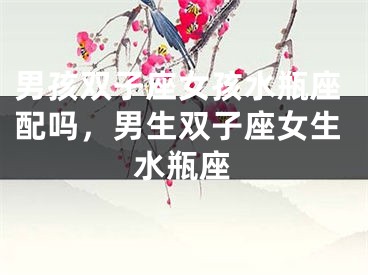 男孩双子座女孩水瓶座配吗，男生双子座女生水瓶座