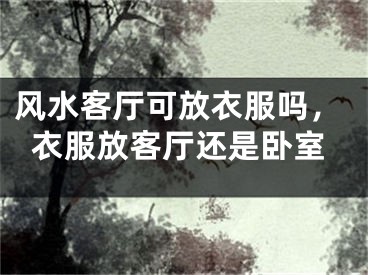 风水客厅可放衣服吗，衣服放客厅还是卧室