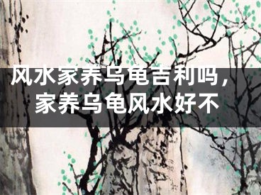 风水家养乌龟吉利吗，家养乌龟风水好不