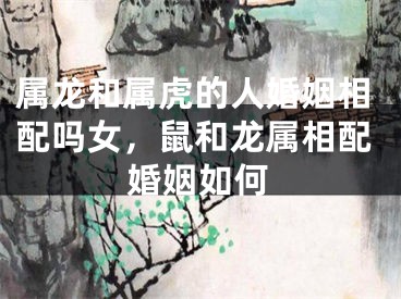 属龙和属虎的人婚姻相配吗女，鼠和龙属相配婚姻如何
