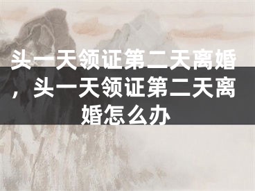 头一天领证第二天离婚，头一天领证第二天离婚怎么办
