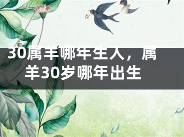 30属羊哪年生人,属羊30岁哪年出生
