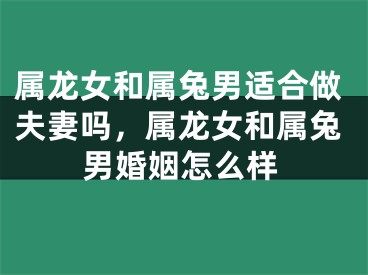 属龙女和属兔男适合做夫妻吗，属龙女和属兔男婚姻怎么样