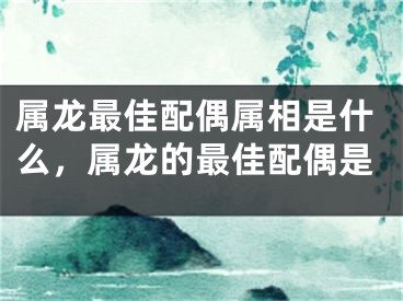 属龙最佳配偶属相是什么，属龙的最佳配偶是