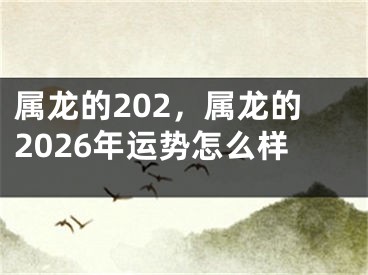 属龙的202，属龙的2026年运势怎么样