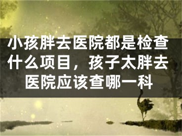 小孩胖去医院都是检查什么项目,孩子太胖去医院应该查哪一科
