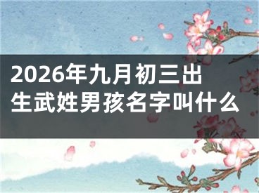 2026年九月初三出生武姓男孩名字叫什么