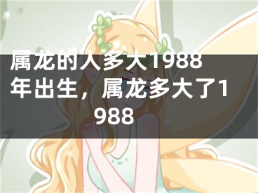 属龙的人多大1988年出生,属龙多大了1988