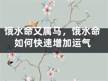 饿水命又属马，饿水命如何快速增加运气