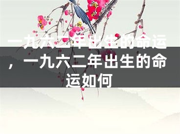 一九六二年出生的命运，一九六二年出生的命运如何