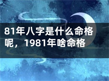 81年八字是什么命格呢，1981年啥命格