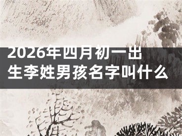 2026年四月初一出生李姓男孩名字叫什么