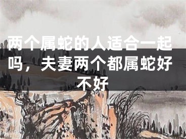 两个属蛇的人适合一起吗,夫妻两个都属蛇好不好