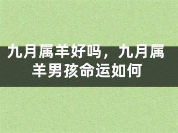 九月属羊好吗，九月属羊男孩命运如何
