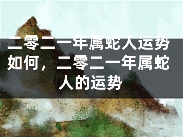 二零二一年属蛇人运势如何，二零二一年属蛇人的运势
