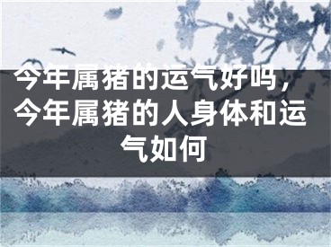 今年属猪的运气好吗,今年属猪的人身体和运气如何